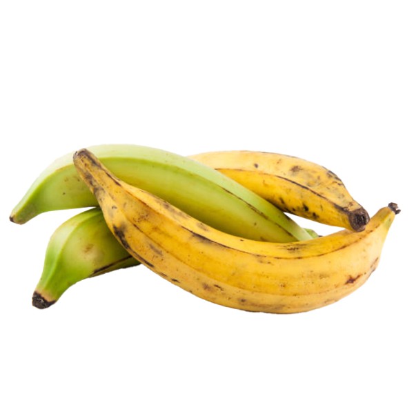 Plantain
