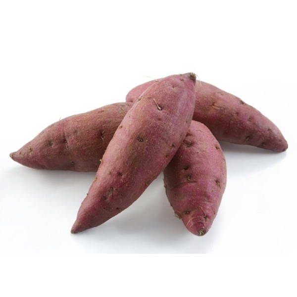 Sweet Potato