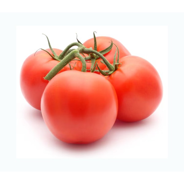 Organic Tomatoes