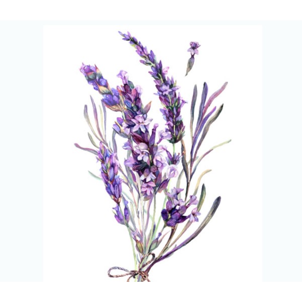 Lavender Vintage